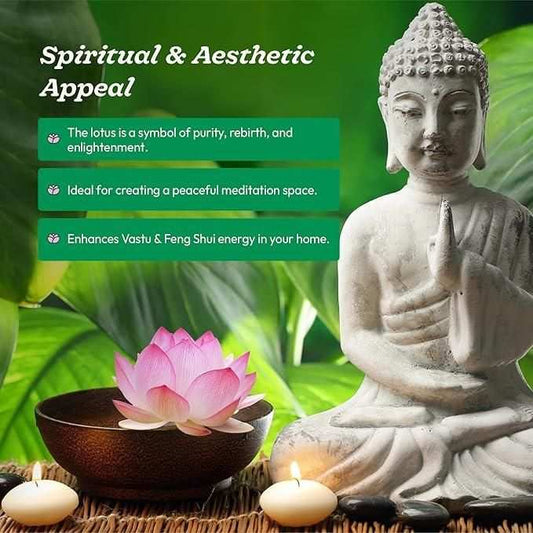 Japanese Bonsai Lotus Seeds with a pink lotus flower, meditation Buddha statue, and candles enhancing spiritual and aesthetic home decor.